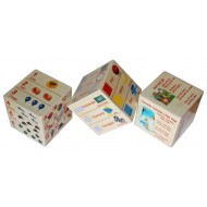 Anindita Learning Cube Basic